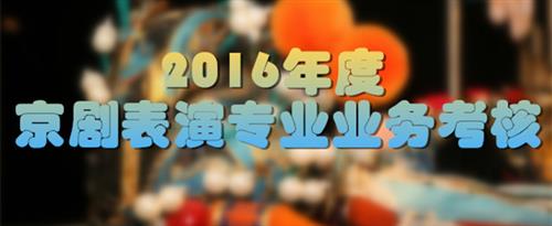 www.色嫩逼国家京剧院2016年度京剧表演专业业务考...